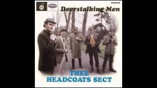 Thee Headcoats Sect  Baby Whats Wrong [upl. by Nohsal]