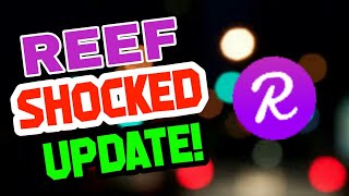 REEF Coin URGENT News REEF Price Prediction [upl. by Olonam]