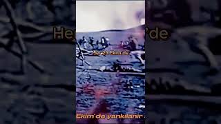 29 Ekim İçin Özel Şarkı  Cumhuriyet Coşkusu 🎶🇹🇷 [upl. by Erdrich]