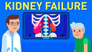 What is Kidney Failure [upl. by Nale132]