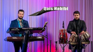 Afghan Mast Mix  by Qais Habibi Live  UHD Afghan Music [upl. by Harim]