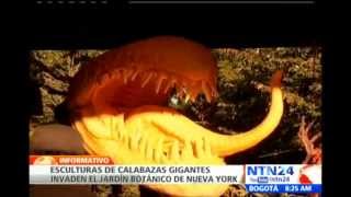 Escultor talla la calabaza más grande del mundo para celebrar Halloween en Nueva York [upl. by Granese771]