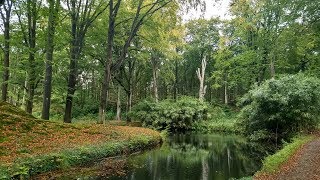 Vroege Vogels  Landgoed Elswout is rijk aan natuur [upl. by Goober251]