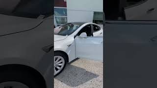 Tesla Model S 100D vs Tesla Model S 75D [upl. by My]