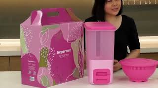 January 2022 Tupperware Singapore Product Demo and Catalogue Summary [upl. by Garlanda]