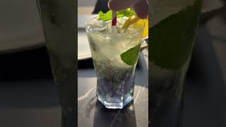 live drinking mojito blueberry refreshingdrink youtube shorts viralshortsvideo shortsvideo [upl. by Manly931]