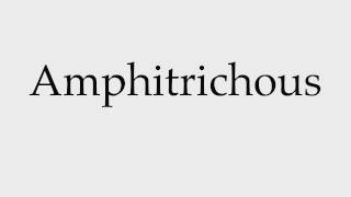 How to Pronounce Amphitrichous [upl. by Cilla76]