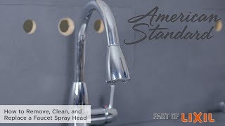 How to Remove Clean and Replace a Faucet Spray Head [upl. by Branham]