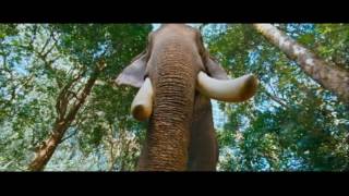 Gajakesari Kannada Movie Scene  Elephant Chase Comedy Scene  Sadhu Kokila Rangayana Raghu [upl. by Cletus964]