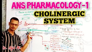 Cholinergic System  ANS Pharmacology [upl. by Nada491]