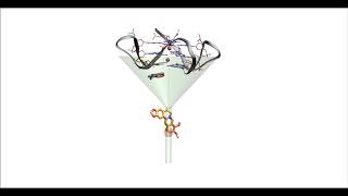 Berberine binding to telomeric Gquadruplex DNA [upl. by Lupee]