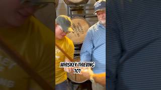 whiskey thieves thieving whiskeybarrel whiskeythief bourbon stealing thief bourbonbarrel [upl. by Raclima]