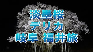 デリカで淡墨桜を見て岐阜、福井を旅してきた [upl. by Irmine810]