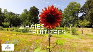 Les Haies Fruitières [upl. by Rednal81]