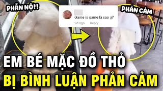 Em bé mặc đồ thỏ dễ thương bị bình luận trái chiều sự đen tối của MXH khiến phụ huynh lo lắng [upl. by Inimak977]