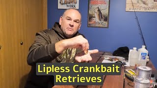 Lipless Crankbait Retrieves [upl. by Janos903]