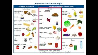 Adult Type 2 Diabetes  4 Nutrition Basics [upl. by Mott527]