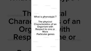 Phenotype Explained Simply [upl. by Malita]