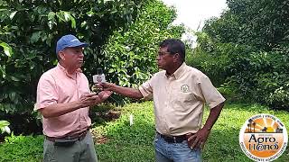 Fruticultura en los Llanos Orientales [upl. by Noteloc]