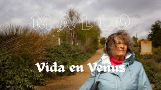 Mallo  Vida en Venus videoclip [upl. by Airlia]