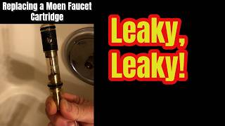 Moen Faucet Repair [upl. by Hollinger75]