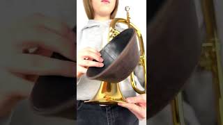 Flugelhorn Plunger Mute [upl. by Kissner489]