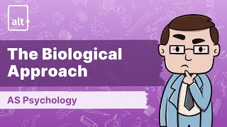 Dement amp Kleitman  The Biological Approach  A Level Psychology 9990 [upl. by Quentin44]