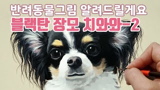 반려동물초상화블랙탄 장모치와와 귀 그리기 설명과 동영상 [upl. by Jacintha946]