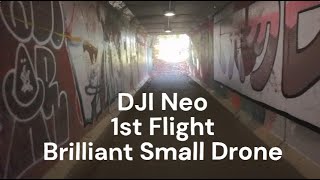 DJI Neo 1st Flight Amazing Performance amp Tree Landingcrash [upl. by Harad]