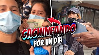 GANAMOS DINERO con productos DE LA CACHINA DE TACORA [upl. by Behka]