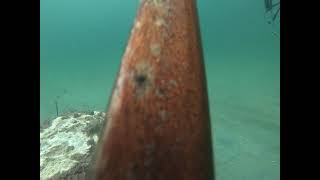 carrabelle 3 mile reeffirst spearfishing trip carrabellefl [upl. by Milt]