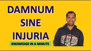 DAMNUM SINE INJURIA  Knowledge in a Minute  One Minute Video to Know a Concept [upl. by Nodla]