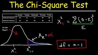 Chi Square Test [upl. by Margaretha]