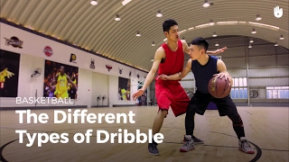 Different Dribbling Techniques  Basketball [upl. by Aneri]