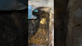 Unclogging Drains with a Plumbers Helper The Ultimate Guide [upl. by Anaujal]