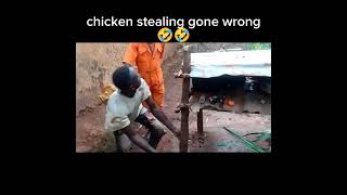 chicken stealing gone wrong🤣🤣 [upl. by Arikahs680]