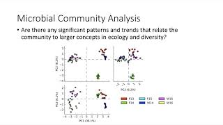 Tutorial Statistical Analysis of Metagenomic Profiles STAMP [upl. by Latini]