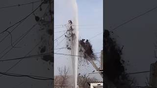 Birds Nest Destroyed By Fire Fighters TrendingShorts TrendingVideos ViralVideos [upl. by Casey]