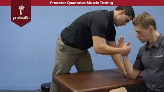 Pronator Quadratus Muscle Test Palp Dr Vizniak Muscle Manual [upl. by Aleck]