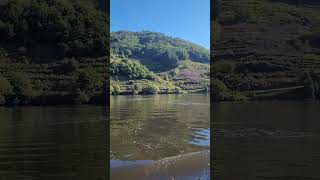 Ribeira Sacra 🥰🙌🍷 [upl. by Rad]