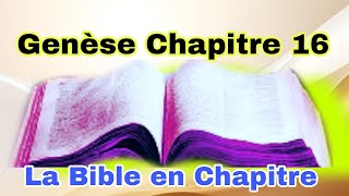 Genese Chapitre 16 [upl. by Aohsoj]