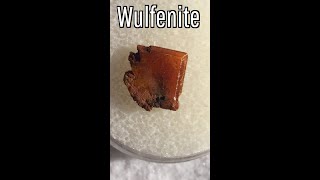 The Rare State Mineral of Arizona Wulfenite [upl. by Leahcimsemaj]