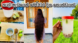 කොන්ඩේ දිගට වවන හාල් ඇට මැජික් එක Rice Water for Fast Hair Growth  Hair Care vlogs [upl. by Meuse]