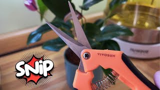 Vivosun 65 inch Gardening Scissors  Hand Pruner for trimming plants [upl. by Voss375]