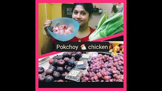 Daily vLogs  Pak Choi Chicken  Muktas Insane World [upl. by Jt]