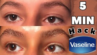 DIY Brow Lamination WITHOUT KIT At Home AND grow your eyebrows thicker and faster NATURALLY [upl. by Derrik]