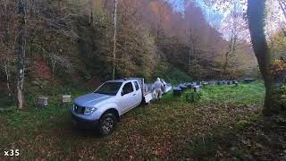 20241115 Apiculture  Transhumance manuelle de fin dété de la montagne à la plaine  4K [upl. by Oicul]