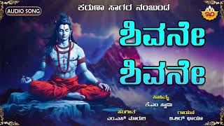 Shivane Shivane  ಶಿವನೇ ಶಿವನೇ  Karuna Sagara Nanjunda  BR Chaya Shiva Kannada SongSVDUKMandira [upl. by Hylan]