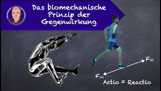 Das biomechanische Prinzip der Gegenwirkung [upl. by Zink]