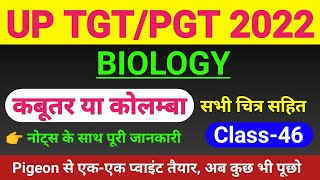 TGTPGT BIOLOGY  CLASS 46  tgt pgt biology classes  Pigeoncolumba livia morphology and anatomy [upl. by Yrojram]